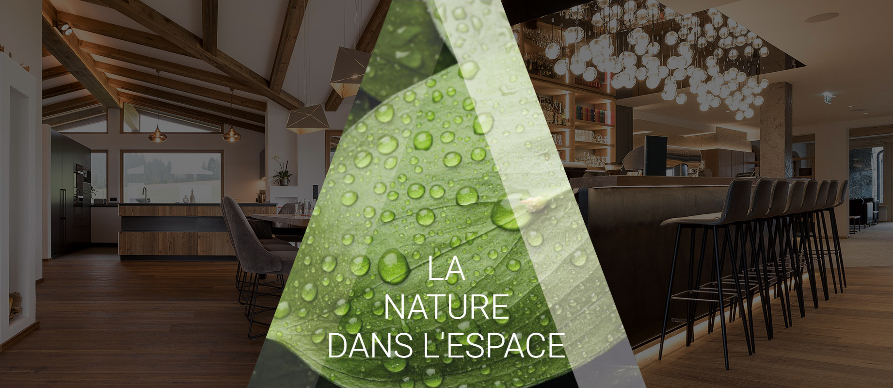 admonter.com - Header 2025 FR